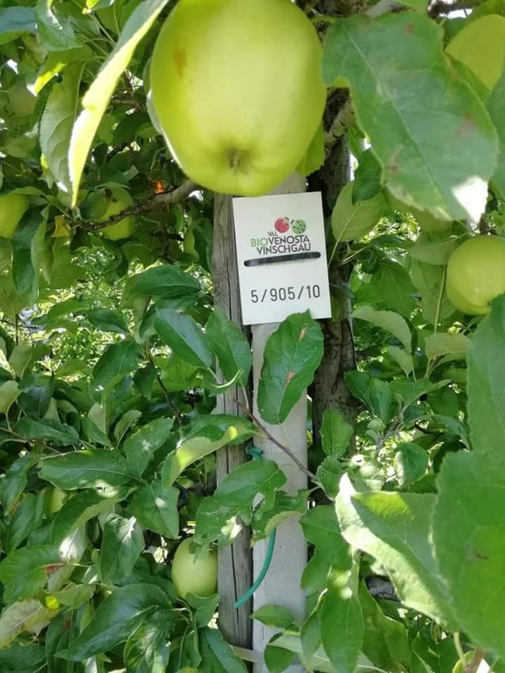 Gasthaus Weisskugel Malles Venosta Ngoại thất bức ảnh